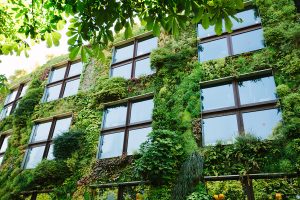 Green Fassade